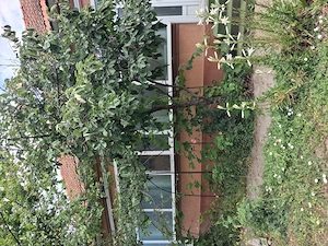 Vând casa in Brebeni 