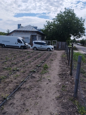 Închiriez casa locuibila cu teren