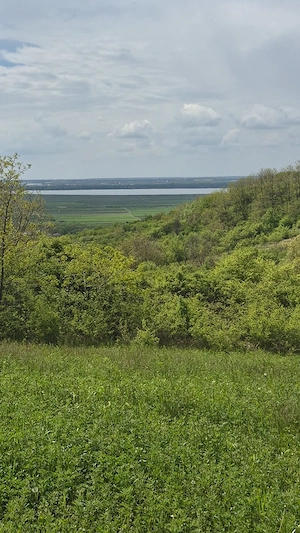 Proprietar   Vând teren 5.000 mp, panoramă deosebită, zonă Călinești - Vrănești, la 12 km de Pitesti - imagine 2