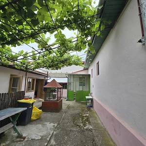 Vand casa 250 m2 Bocsa - imagine 2