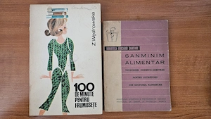 Lot  100 Cărți Vintage & Colecție   Romane Polițiste, Thriller, Spiritualitate & Hobby