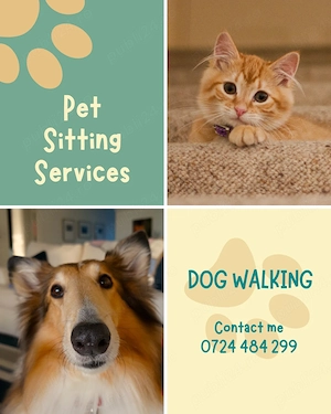 Pet sitter & dog walker
