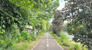 =REPOZITIONARE PRET= 2 camere in Govandari, zona Miorita - etaj 1, centrala proprie - imagine 14