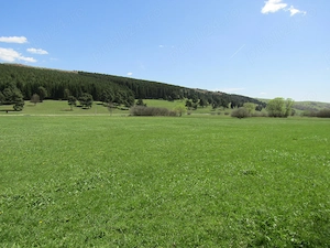 Teren Valea Mare, 4300mp - imagine 4
