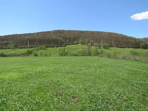 Teren Valea Mare, 4300mp - imagine 3