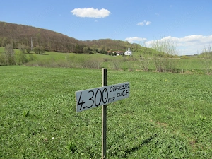 Teren Valea Mare, 4300mp - imagine 2