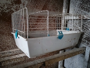 cusca pentru rozatoare