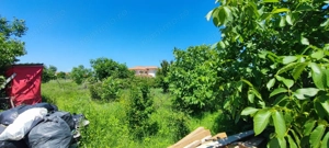 Lot pentru două case – Corbeanca Tamași - imagine 19