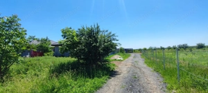 Lot pentru două case – Corbeanca Tamași - imagine 14