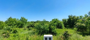 Lot pentru două case – Corbeanca Tamași - imagine 11