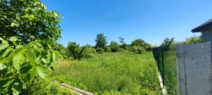 Lot pentru două case – Corbeanca Tamași - imagine 16