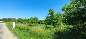 Lot pentru două case – Corbeanca Tamași - imagine 15