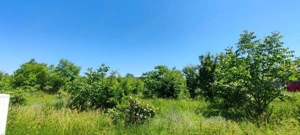 Lot pentru două case – Corbeanca Tamași - imagine 13