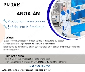 Purem by Eberspacher Oradea angajeaza Sef de linie în Productie - Production Team Leader 