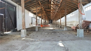 MICRO-FERMA + CASA IN VOIVOZI - BIHOR - imagine 11