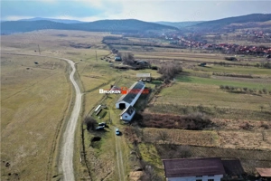 MICRO-FERMA + CASA IN VOIVOZI - BIHOR - imagine 7