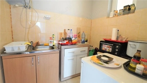 MICRO-FERMA + CASA IN VOIVOZI - BIHOR - imagine 20