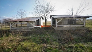 MICRO-FERMA + CASA IN VOIVOZI - BIHOR - imagine 13