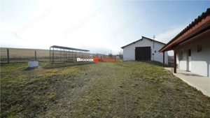 MICRO-FERMA + CASA IN VOIVOZI - BIHOR - imagine 9