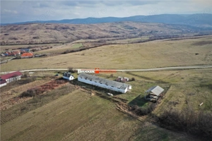 MICRO-FERMA + CASA IN VOIVOZI - BIHOR - imagine 5