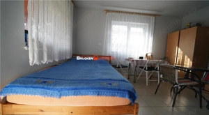 MICRO-FERMA + CASA IN VOIVOZI - BIHOR - imagine 17