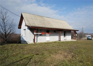 MICRO-FERMA + CASA IN VOIVOZI - BIHOR - imagine 2
