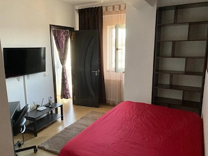 Studio cochet-2 camere - imagine 6