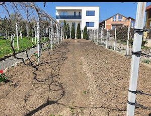 Teren casă str. Chateau Thierry,  Cisnadie - imagine 3