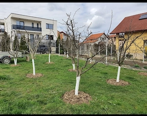 Teren casă str. Chateau Thierry,  Cisnadie - imagine 5