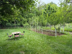 OCAZIE RARĂ - Teren cu cabană de vânzare lângă Lacurile Naturale - Ocna Sibiului - imagine 6