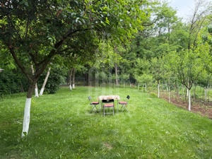 OCAZIE RARĂ - Teren cu cabană de vânzare lângă Lacurile Naturale - Ocna Sibiului - imagine 8