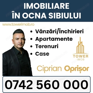 OCAZIE RARĂ - Teren cu cabană de vânzare lângă Lacurile Naturale - Ocna Sibiului - imagine 20