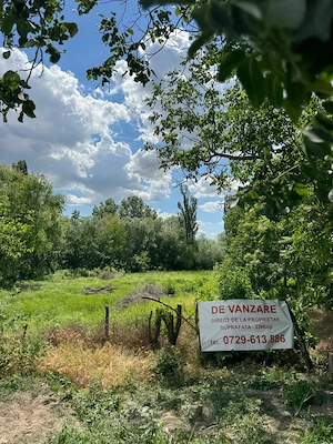 PROPRIETAR Vand 2 terenuri intravilane - loc. CALACEA, Timis - imagine 3