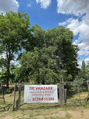 PROPRIETAR Vand 2 terenuri intravilane - loc. CALACEA, Timis - imagine 2