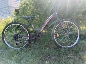 bicicleta de copii 