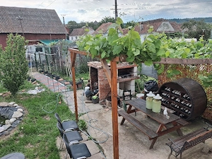 casa de vanzare in Cornățel jud sibiu la 16km de Sibiu  - imagine 9