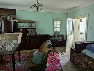 Casa 115 m   sat Pomi 1 Hectar pamant - imagine 8