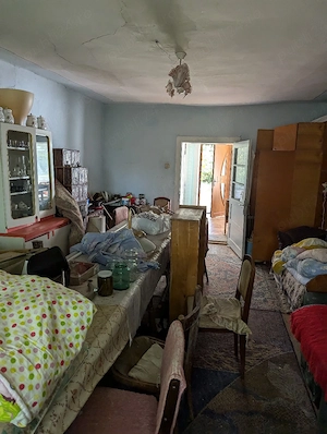 Casa 115 m   sat Pomi 1 Hectar pamant - imagine 9
