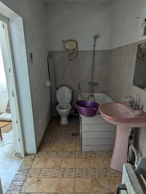 Casa 115 m   sat Pomi 1 Hectar pamant - imagine 10