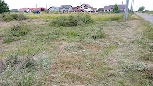 Parcela pentru casa in Mosnita - imagine 2