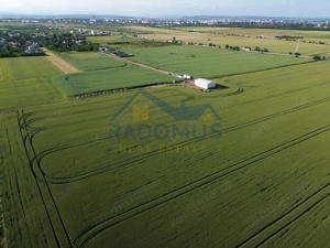 Teren Intravilan 10.000 MP – Ploiești Vest - Curent electric - 15€/mp - imagine 5