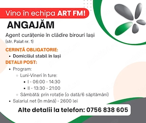 Angajare la curatenie în Iași (spații birouri)