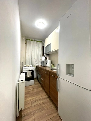 Apartament 2 camere Take Ionescu  - imagine 9