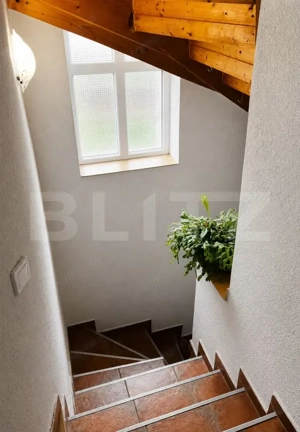 Casă individuală, 280 mp, Sâncraiu de Mureș - imagine 15