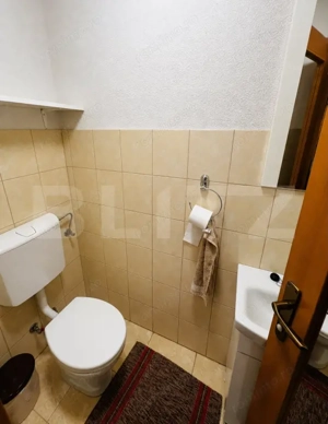 Casă individuală, 280 mp, Sâncraiu de Mureș - imagine 12