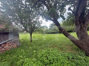 Casă cu teren generos de 2.963 mp în Aiton - imagine 7