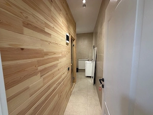 Vand S-P-1-2 Renovat - imagine 9
