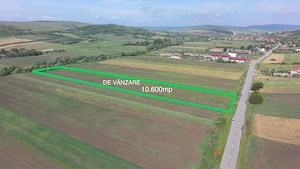 Teren 10.670 mp | Borșa Cluj | Front 38m | Utilități