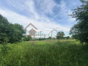 Teren Intravilan - 4800 mp | Dumbrava Minunata | Falticeni 