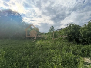 10.000 mp | Costica Arteni| Deschidere 40m | Ideal Dezvoltare Rezidențiala